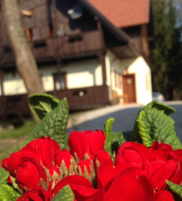 רוגאסקה סלאטינה Pomona Relaxing Nature Guest House מראה חיצוני תמונה