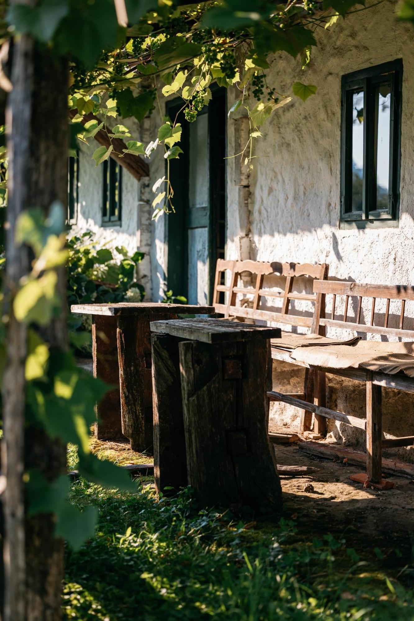 רוגאסקה סלאטינה Pomona Relaxing Nature Guest House מראה חיצוני תמונה
